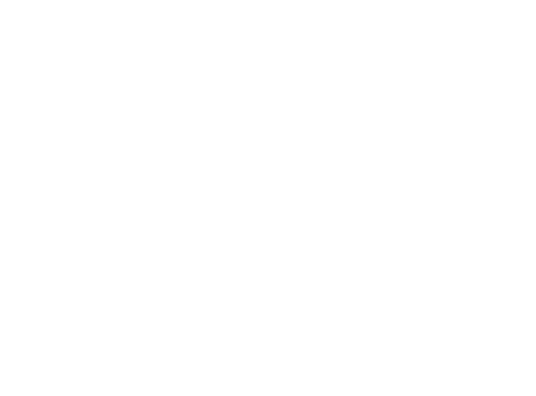 Oscar Nominee